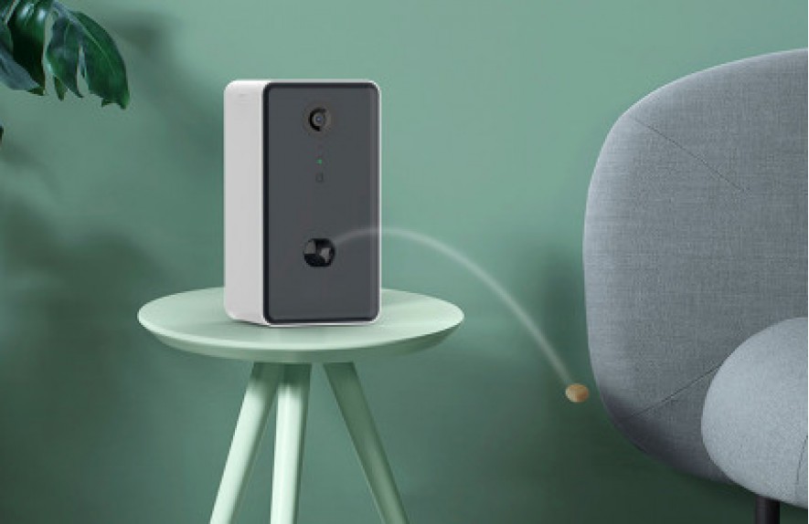 Libero lorem vehicula qunato verbl